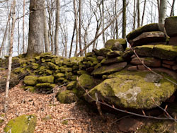 Keltenlager am Wintersberg �ber Niederbronn